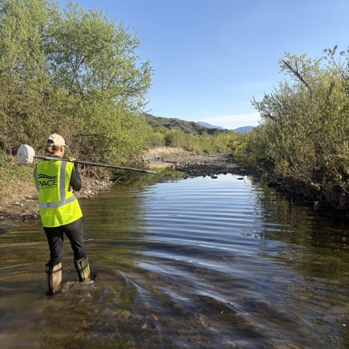 San Juan Creek Stream Monitoring Program